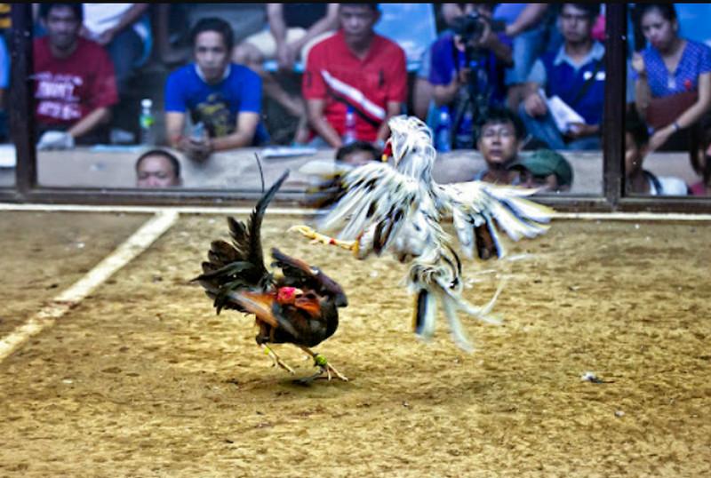 Khám phá những game bài đổi thưởng uy tín hiện nay mà bạn không nên bỏ lỡ