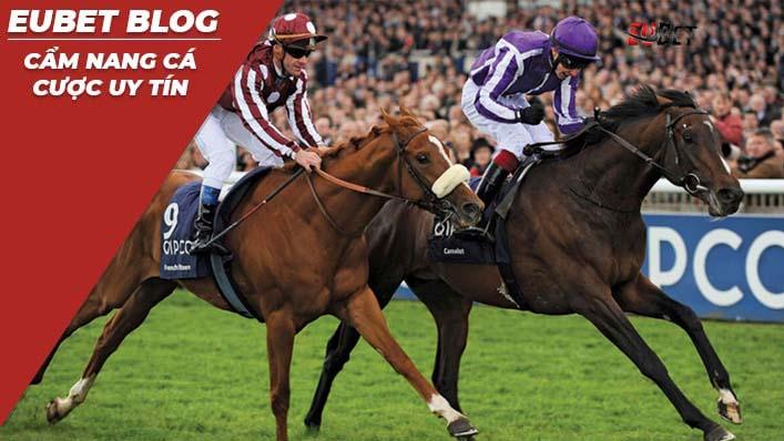 casino kubet là điểm đến lý tưởng cho người chơi casino kubet trực tuyến hàng đầu Việt Nam