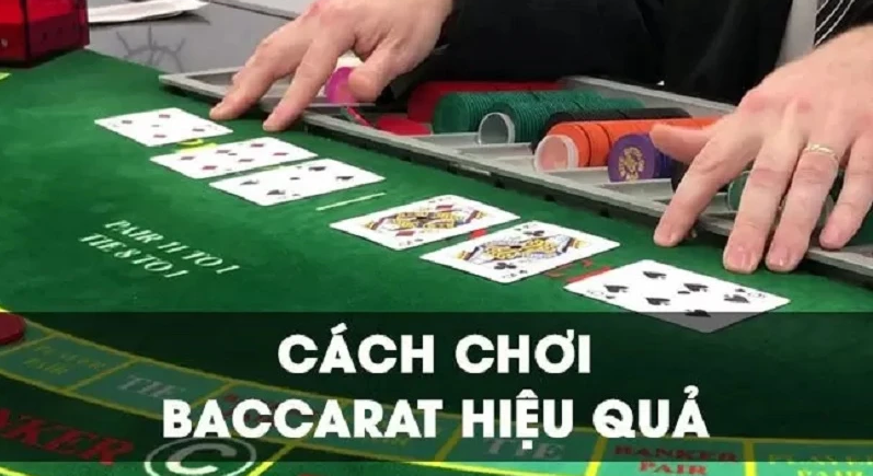 Khám phá web game đánh bài online thú vị với nhiều lựa chọn đánh bài online hấp dẫn