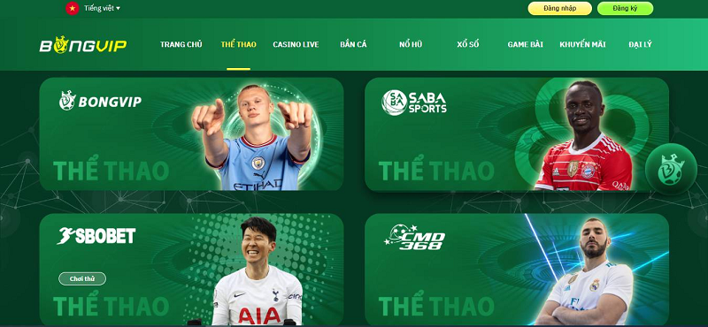 Khám phá moba việt shop uy tín chất lượng cùng với nhiều chương trình khuyến mãi tại moba việt shop